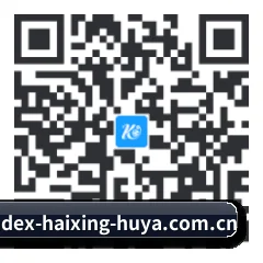 系统版 Android 二维码