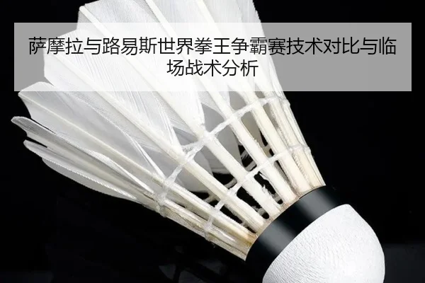 萨摩拉与路易斯世界拳王争霸赛技术对比与临场战术分析